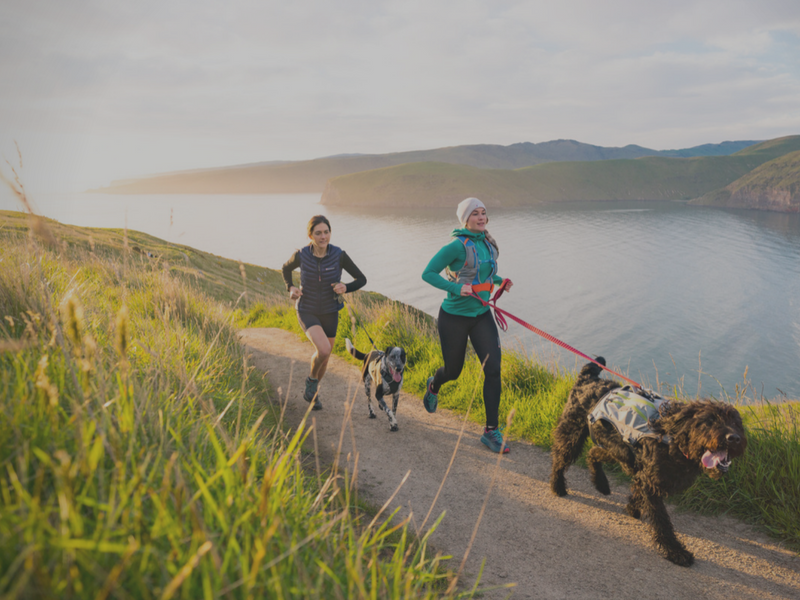 Womens Adventure Racing  Multisport Gear NZ – Further Faster