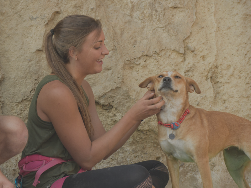 Ruffwear Ruffwear NZ Active Dog Gear Further Faster