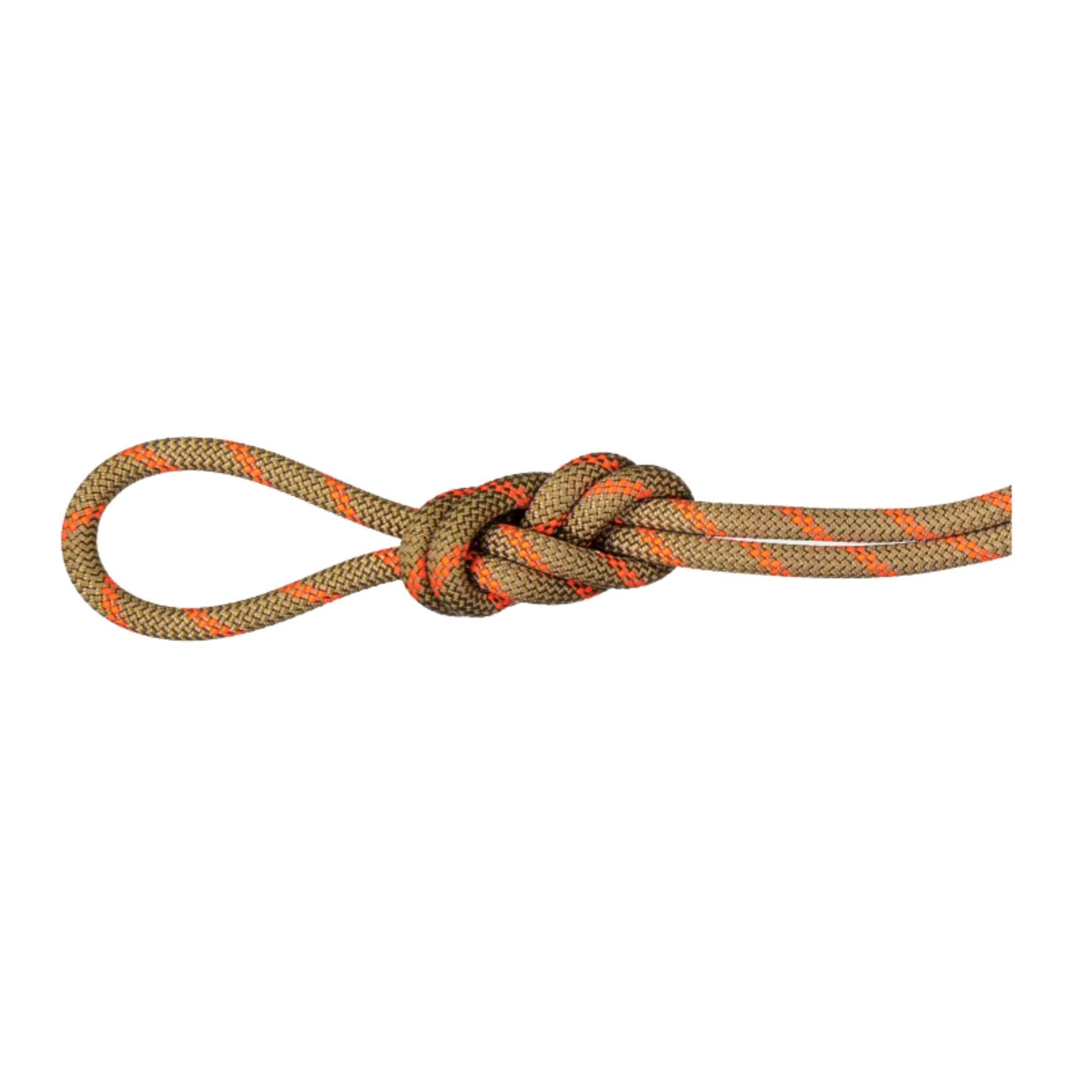 Mammut Alpine Dry Rope 8mm  Climbing Rope NZ – Further Faster