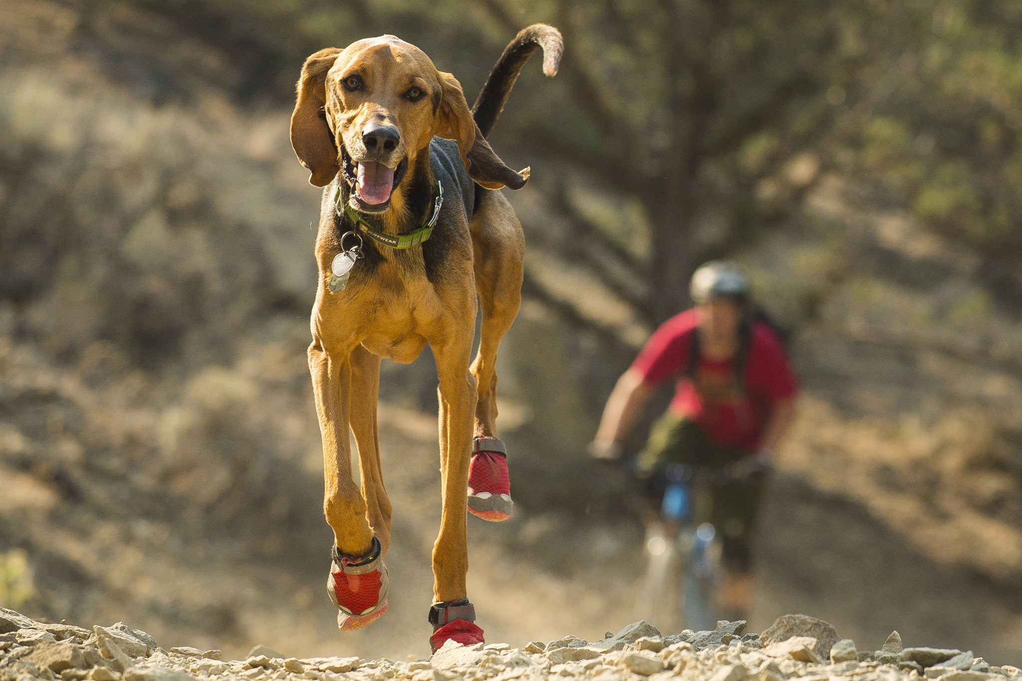 New Ruffwear for 2016 Further Faster