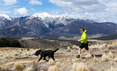 Trail Running with your Dog.