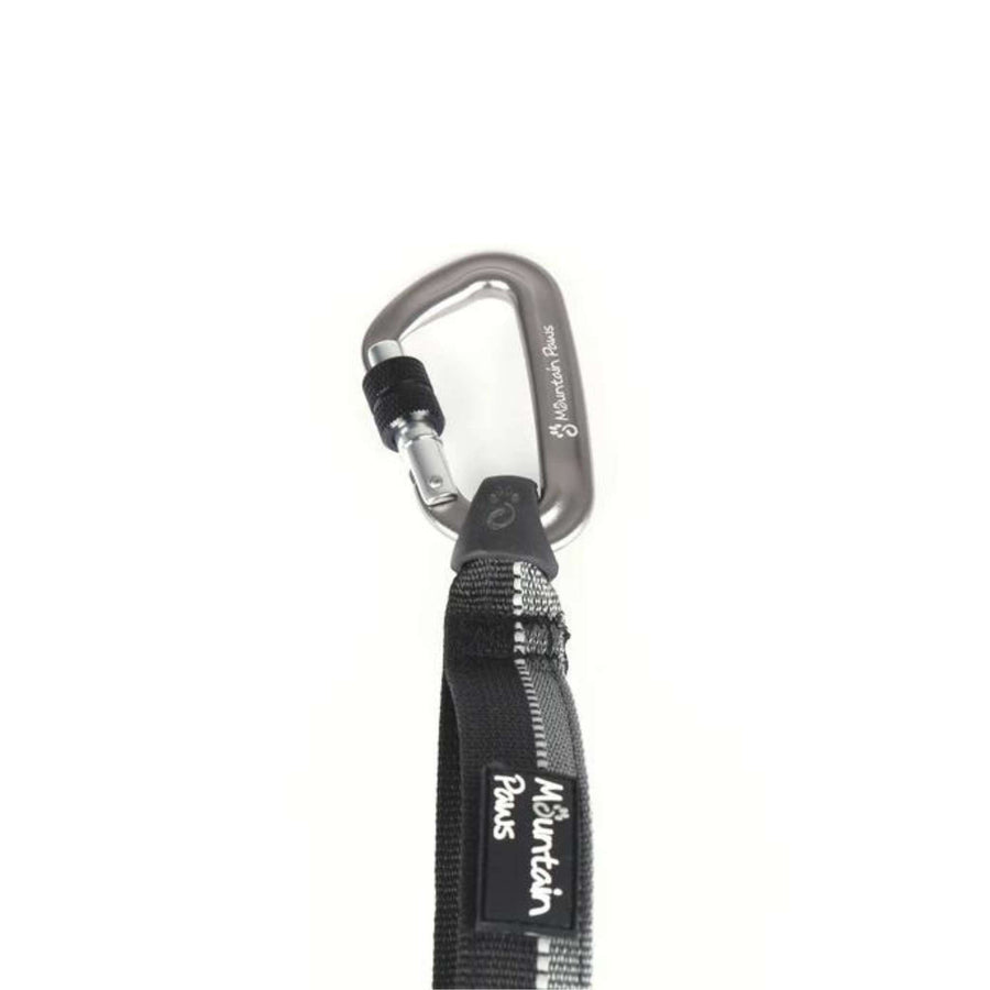 Dog lead with shock absorber hotsell