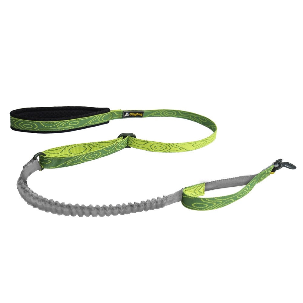 OllyDog Flagstaff Adjustable Spring Leash