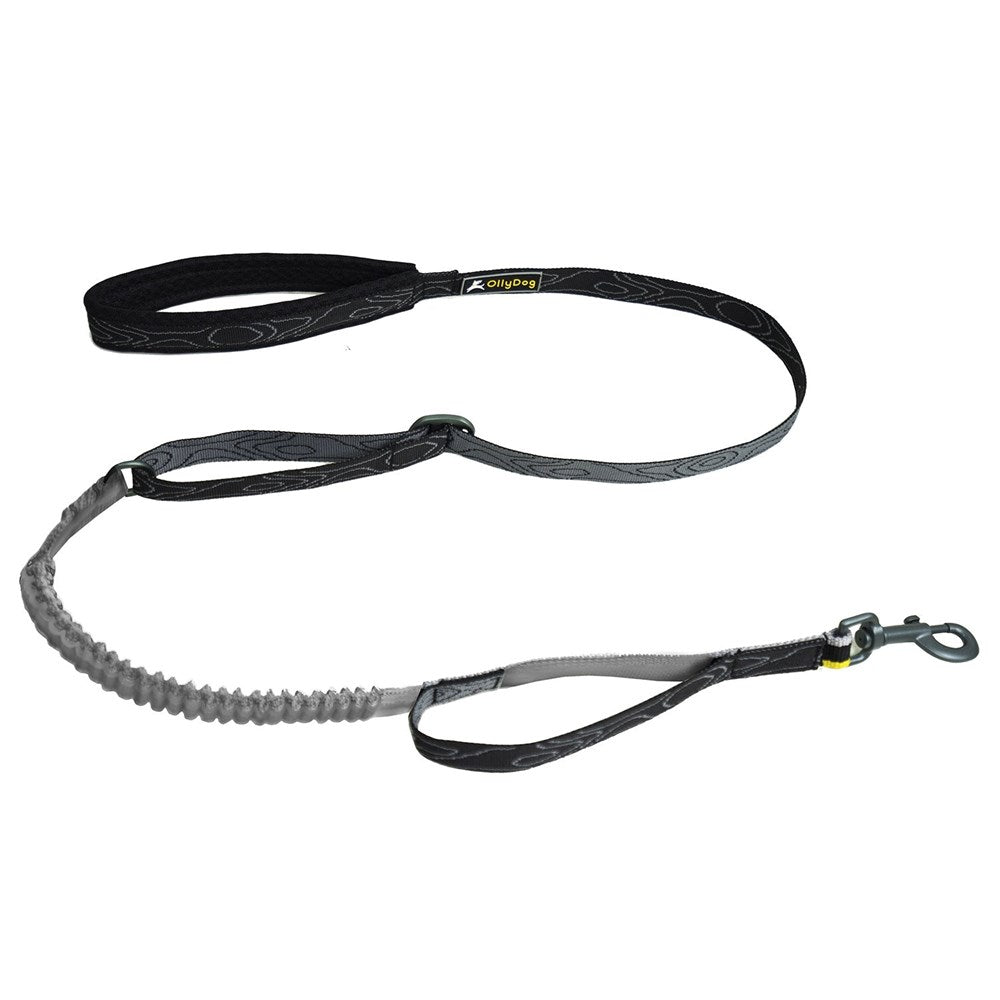 OllyDog Flagstaff Adjustable Spring Leash