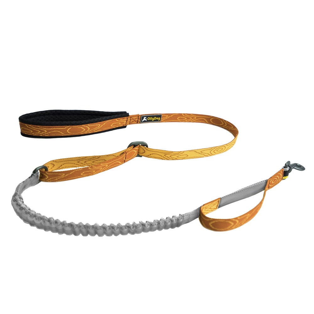 OllyDog Flagstaff Adjustable Spring Leash