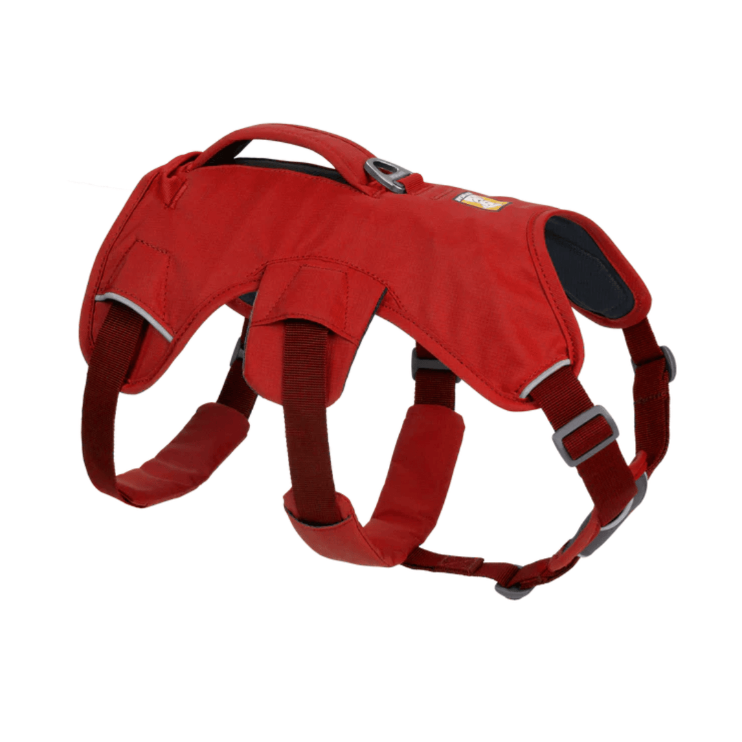 Ruffwear Web Master Dog Harness Outdoor Dog Gear NZ Further Faster