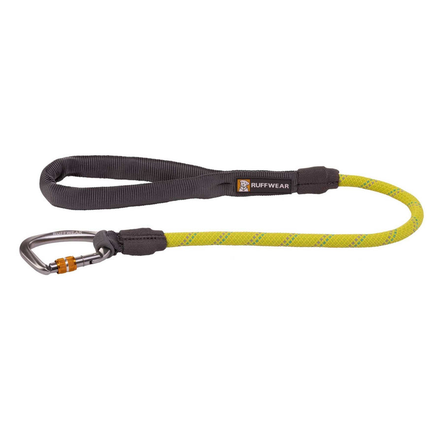 Dog climbing hot sale gear