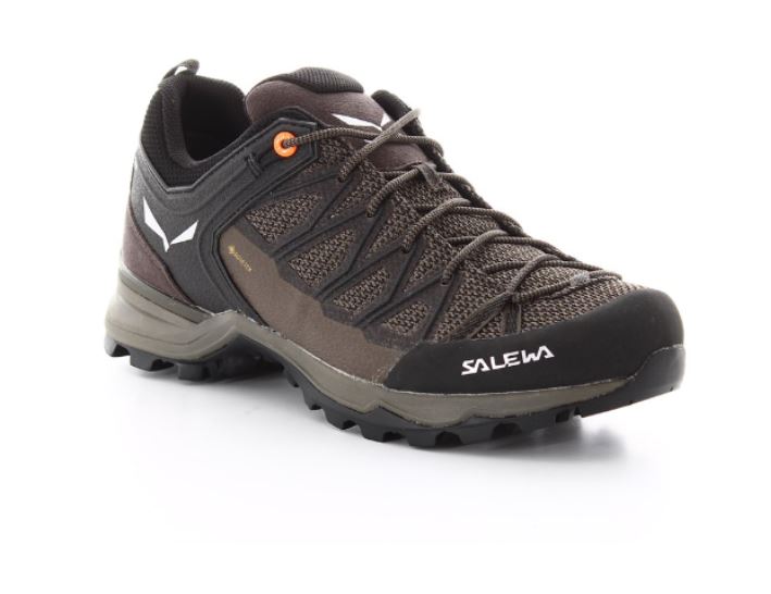 Salewa MTN Trainer 2 Approach Shoe - Men's Wallnut